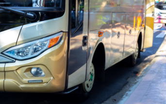 Taxi & Bus